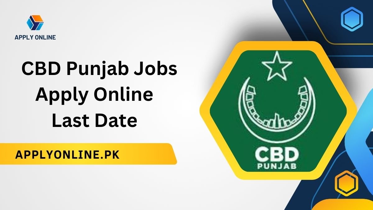 CBD Punjab Jobs 2024