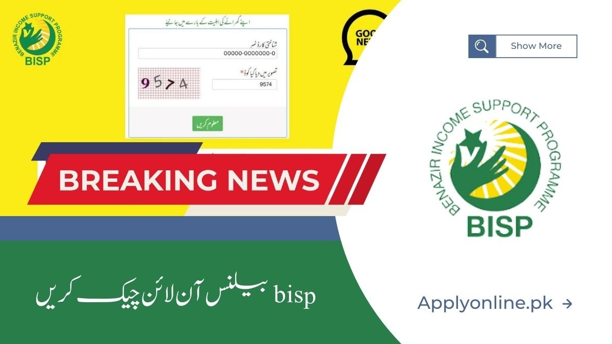 BISP March Payment 2024 Balance Check Online