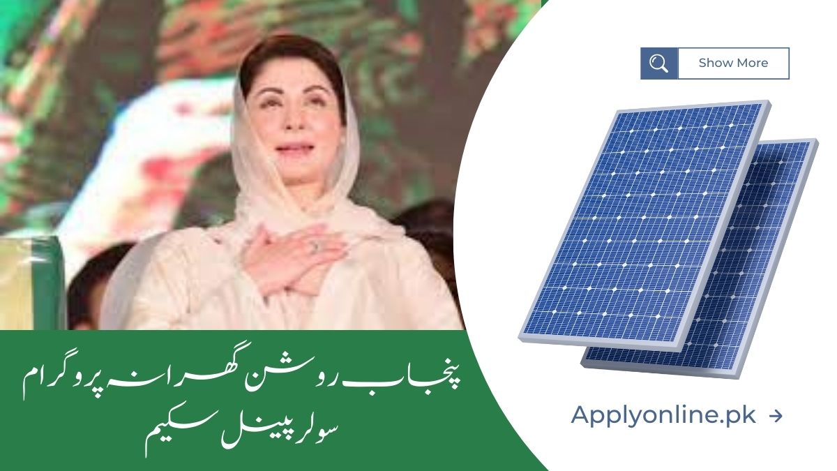 Punjab Roshan Gharana Program Solar Panel Scheme 2024