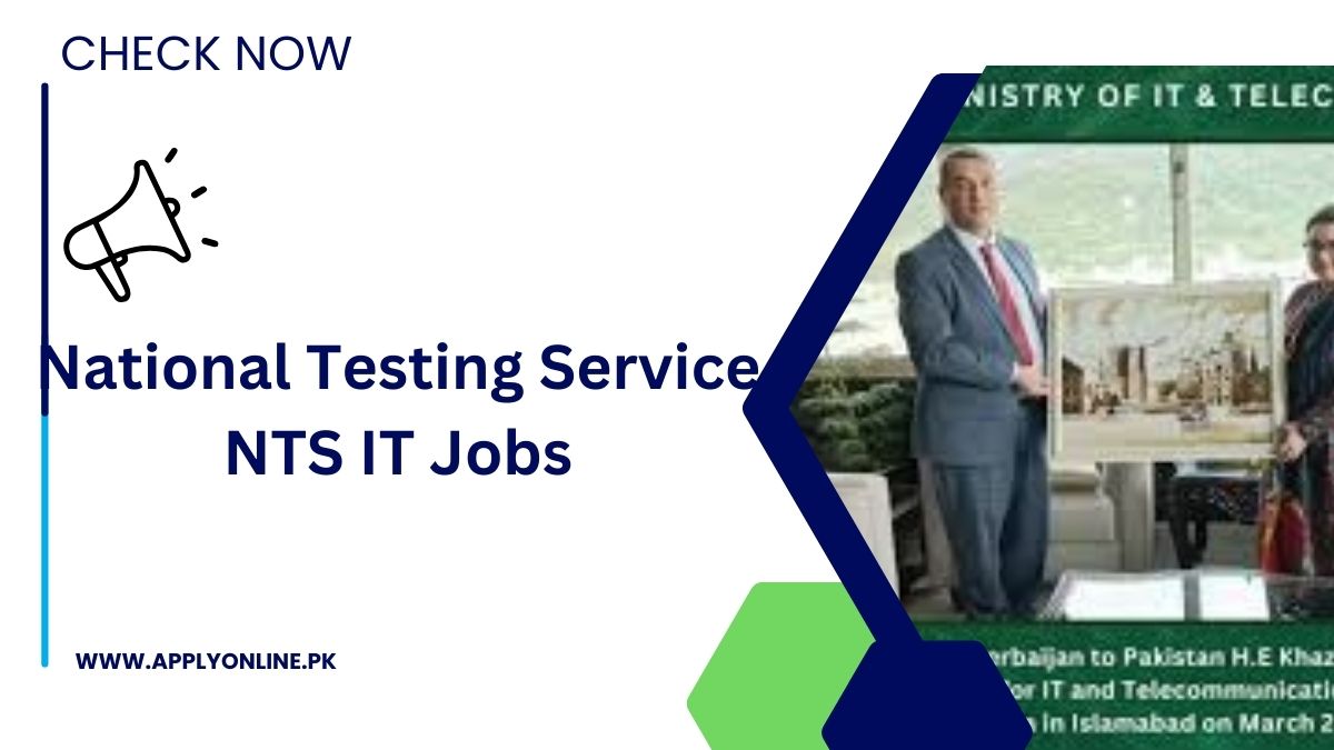 National Testing Service NTS IT Jobs 2024