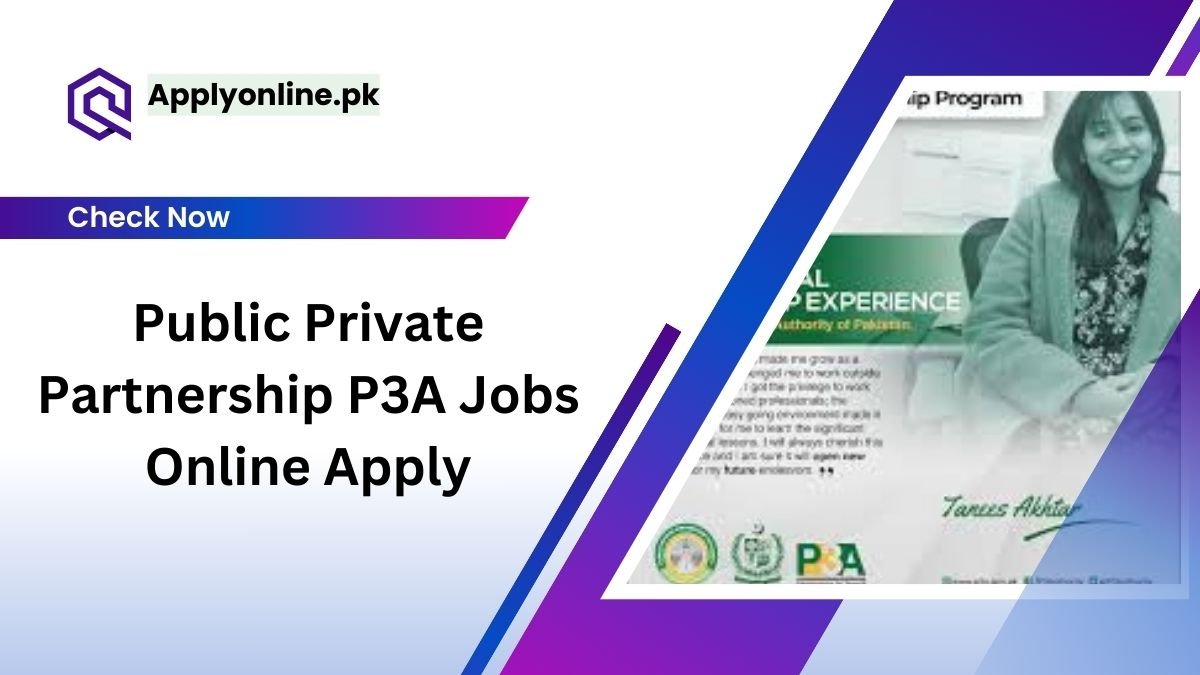 Public Private Partnership P3A Jobs 2024 Online Apply