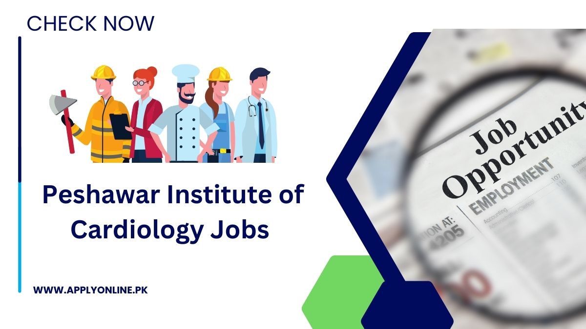 Peshawar Institute of Cardiology Jobs 2024