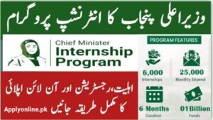 CM internship program 2024