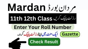 11th 12th Class Result BISE Mardan Board HSSC Annual 2024