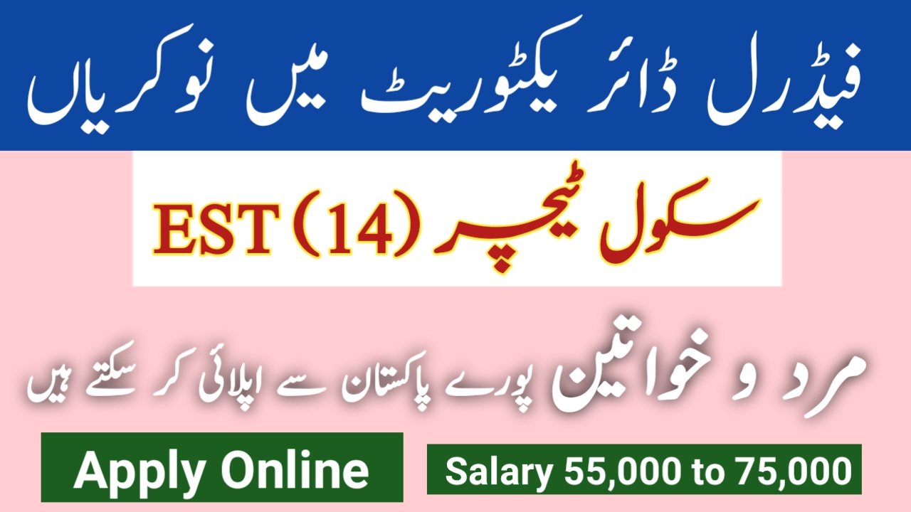 Federal Directorate of Education Jobs 2024 Apply Online