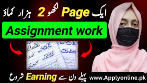 Online Assignment Work Without Investment